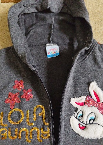 Gri Kapüşonlu Nakışlı Kız Sweatshirt - Görsel 4