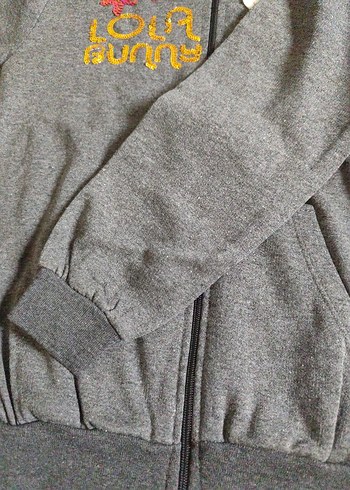 Gri Kapüşonlu Nakışlı Kız Sweatshirt - Görsel 3