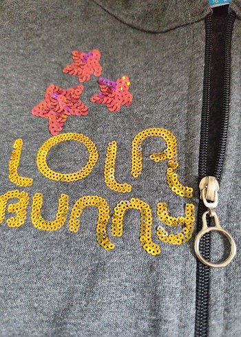 Gri Kapüşonlu Nakışlı Kız Sweatshirt - Görsel 8