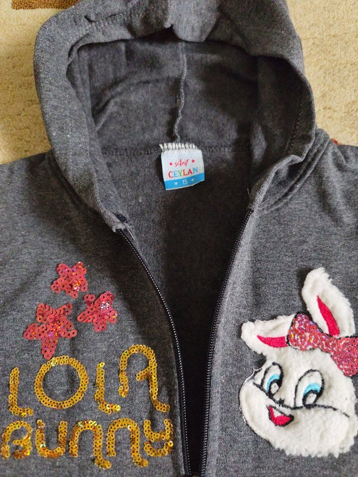 Gri Kapüşonlu Nakışlı Kız Sweatshirt - Görsel 4