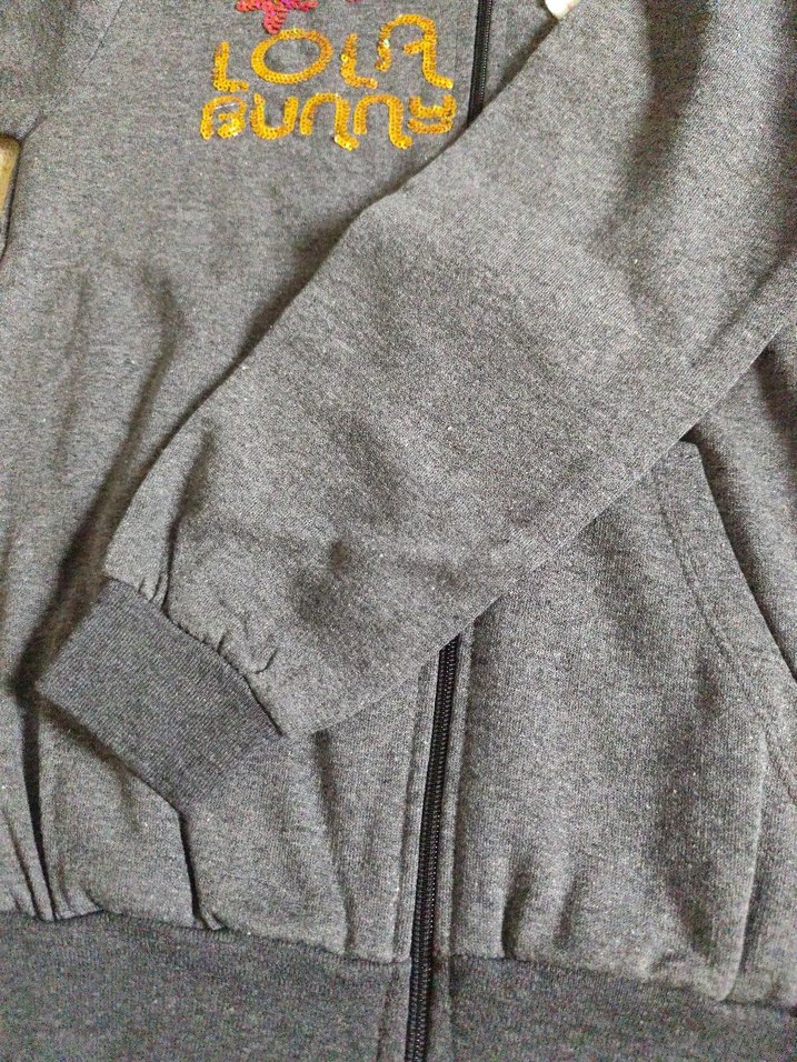 Gri Kapüşonlu Nakışlı Kız Sweatshirt - Görsel 3