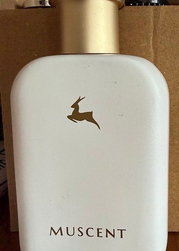 MUSCENT C068 Vibe3 Parfüm - Görsel 3