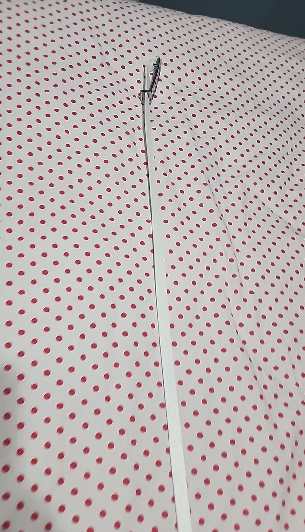 Beyaz Metal Tokalı Kadın Kemer - Görsel 3