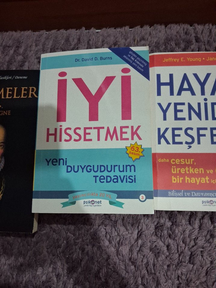 İyi Hissetmek ve Hayatı Yeniden Keşfedin Kitapları - Görsel 3