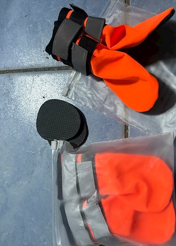 Turuncu köpek ayakkabısı - Görsel 2