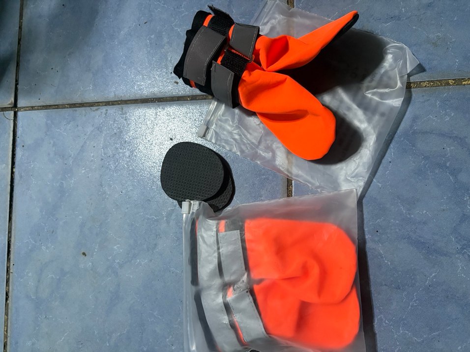 Turuncu köpek ayakkabısı - Görsel 2