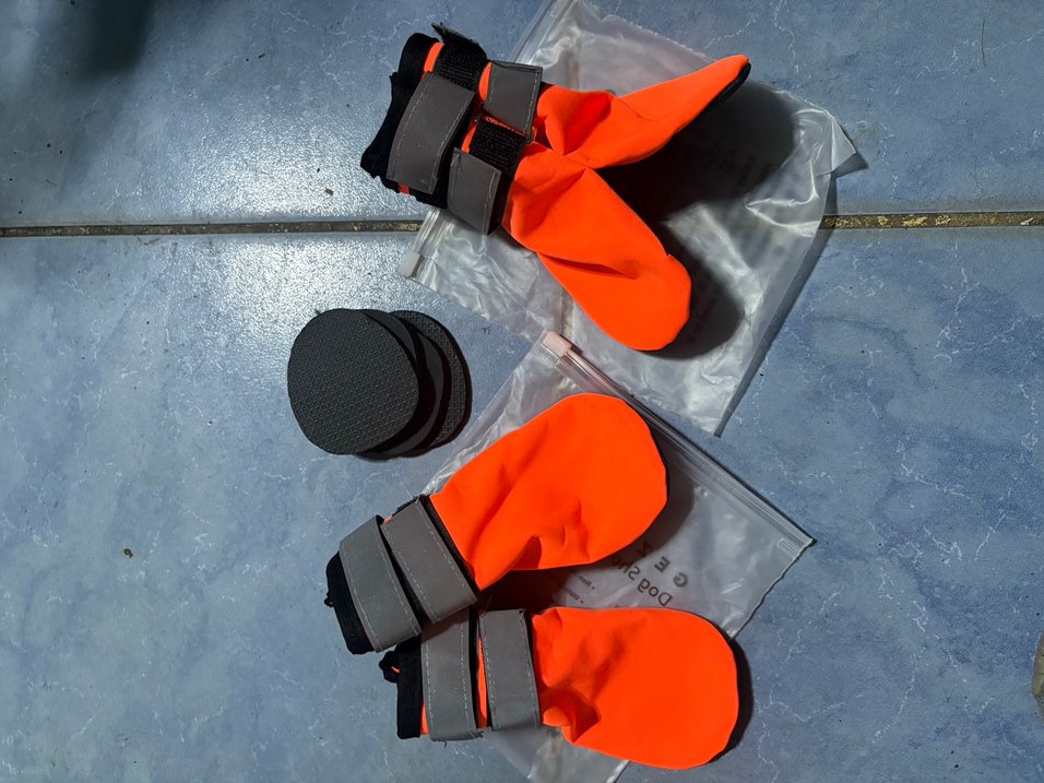 Turuncu köpek ayakkabısı - Görsel 3