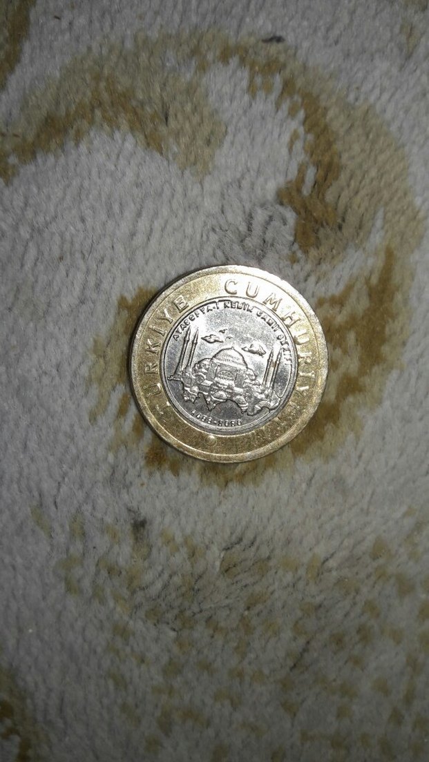 Vintage Altın-Gri Erkek Rozeti - Görsel 3