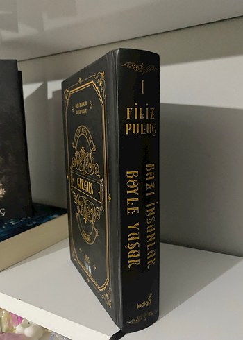 Beden Renk Bazı İnsanlar Böyle Yaşar- Filiz Puluç (Ciltli)