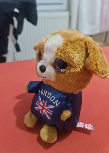 Beden Renk London Bulldog Pelu