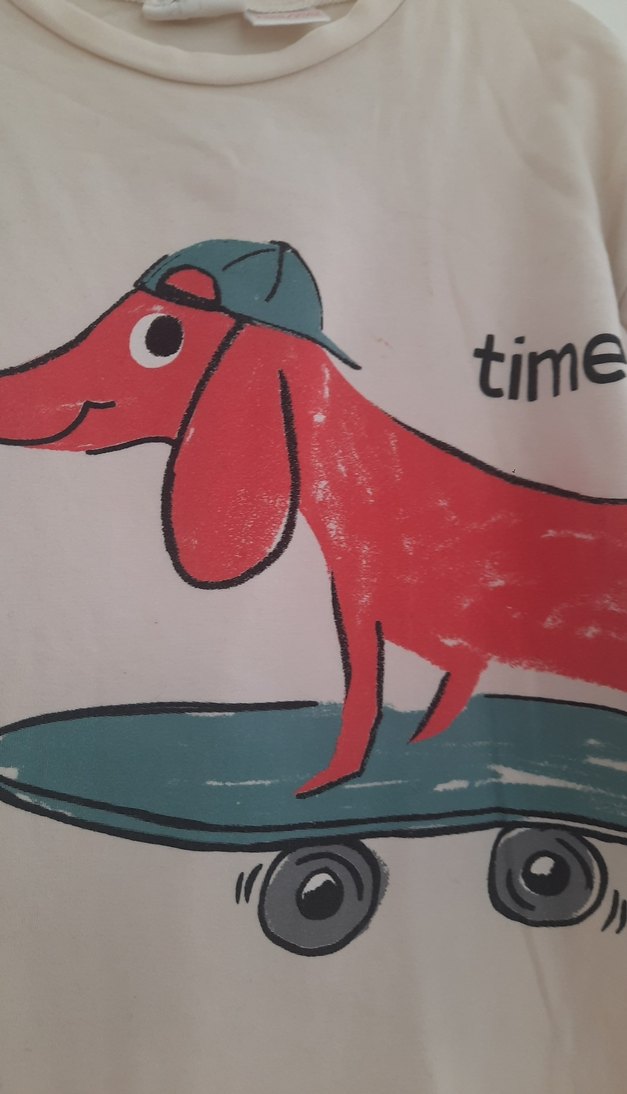 zara Erkek Çocuk Baskılı Uzun Kollu Tişört - Görsel 2