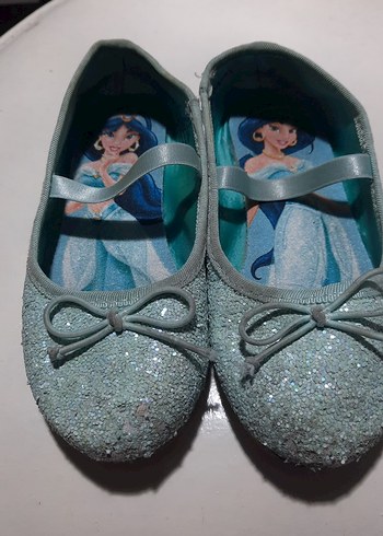 Walt Disney World 27