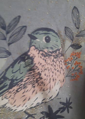 Uzun Kollu Kuş Baskılı Gri Kız Tişörtü - Görsel 2