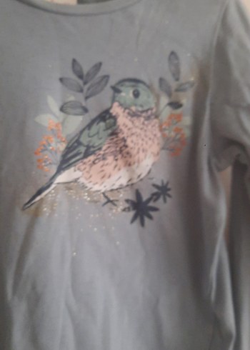 Uzun Kollu Kuş Baskılı Gri Kız Tişörtü - Görsel 3