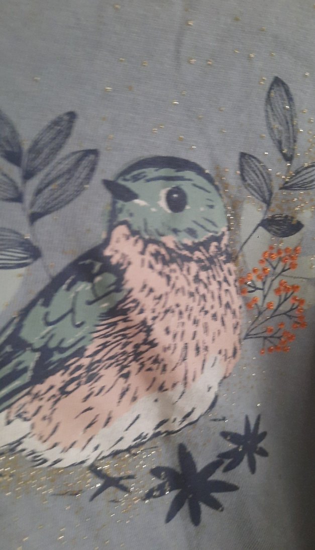 Uzun Kollu Kuş Baskılı Gri Kız Tişörtü - Görsel 2