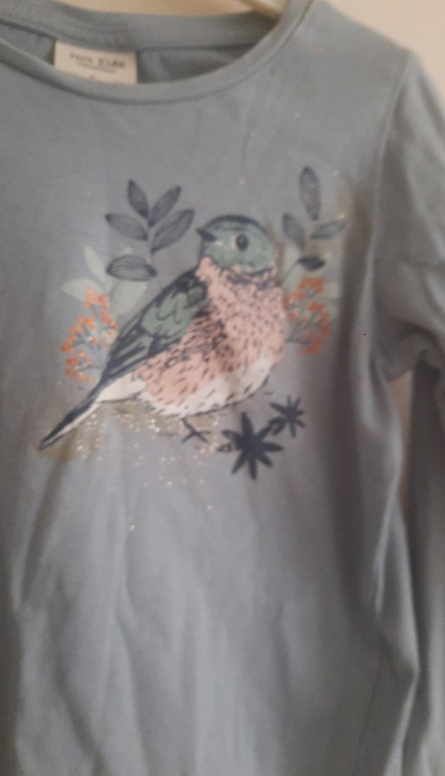 Uzun Kollu Kuş Baskılı Gri Kız Tişörtü - Görsel 3