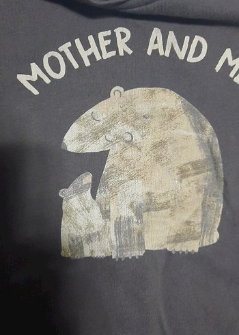 zara Gri Baskılı Erkek Çocuk Uzun Kollu Tişört  tane 60 2si 100t - Görsel 4