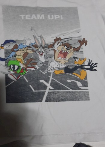 zara Gri Baskılı Erkek Çocuk Uzun Kollu Tişört  tane 60 2si 100t - Görsel 6