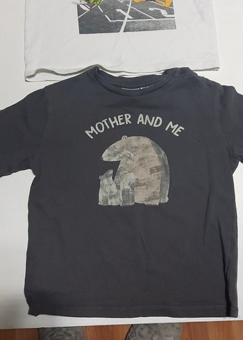 zara Gri Baskılı Erkek Çocuk Uzun Kollu Tişört  tane 60 2si 100t - Görsel 2