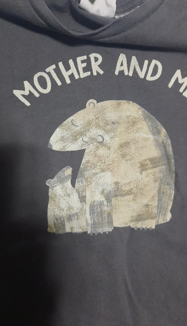 zara Gri Baskılı Erkek Çocuk Uzun Kollu Tişört  tane 60 2si 100t - Görsel 4