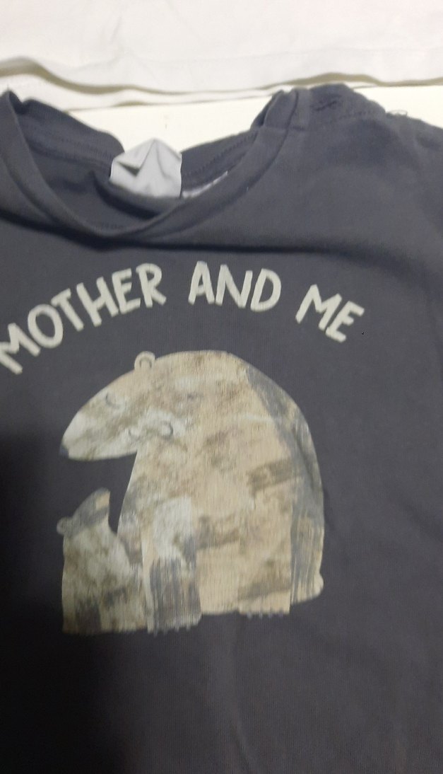 zara Gri Baskılı Erkek Çocuk Uzun Kollu Tişört  tane 60 2si 100t - Görsel 5