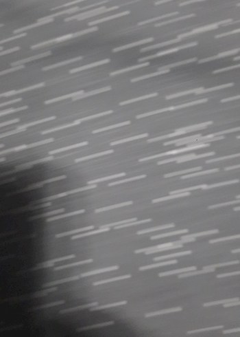 Zara 3/4 yaş koyu Gri Uzun Kollu Kız Tişörtü Bear Crewt 2 tane - Görsel 4