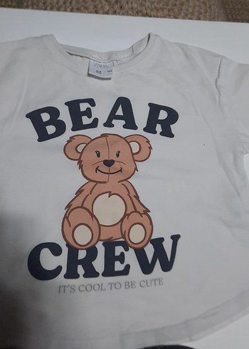 Zara 3/4 yaş koyu Gri Uzun Kollu Kız Tişörtü Bear Crewt 2 tane - Görsel 6