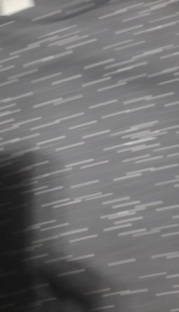 Zara 3/4 yaş koyu Gri Uzun Kollu Kız Tişörtü Bear Crewt 2 tane - Görsel 4