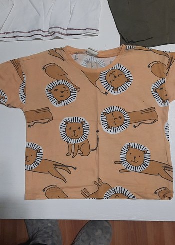 3 adet mango ve defakto marka Kahverengi Aslan Baskılı Erkek Tşo - Görsel 2