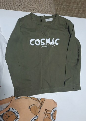 3 adet mango ve defakto marka Kahverengi Aslan Baskılı Erkek Tşo - Görsel 6