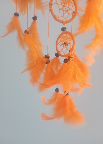 Turuncu Tüylerle Renkli Rüya Kapanı - Görsel 4