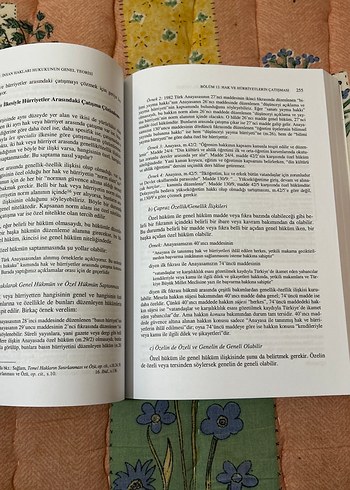 Kemal Gözler - İnsan Hakları Hukuku Kitabı - Görsel 2