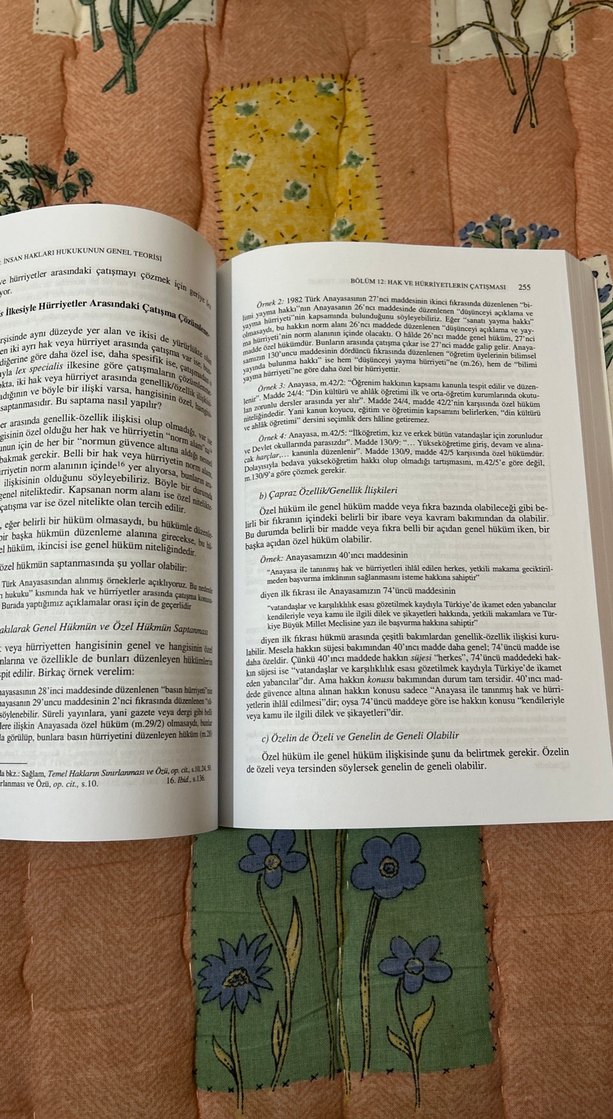 Kemal Gözler - İnsan Hakları Hukuku Kitabı - Görsel 2