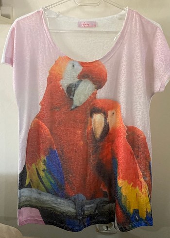 Diğer Standart Beden