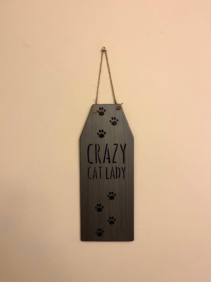 Gri Kedi Aksesuarı Duvar Yazısı - Görsel 2