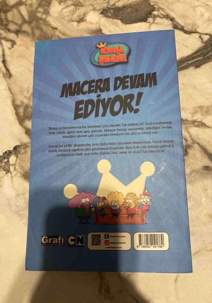 Kral Şakir Macera Devam Ediyor! Çocuk Kitabı - Görsel 2