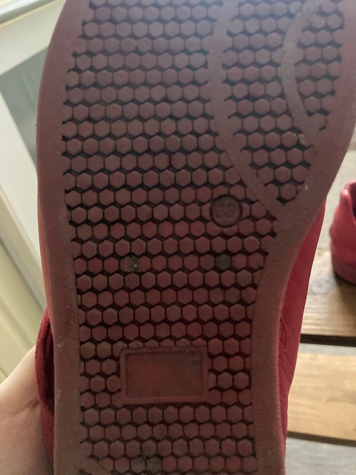 Kadın Kırmızı Deri Düz Tabanlı Spor Ayakkabı - Görsel 4