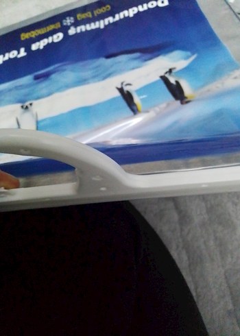 Koroplast Dondurulmuş Gıda Termo Çantası - Görsel 5