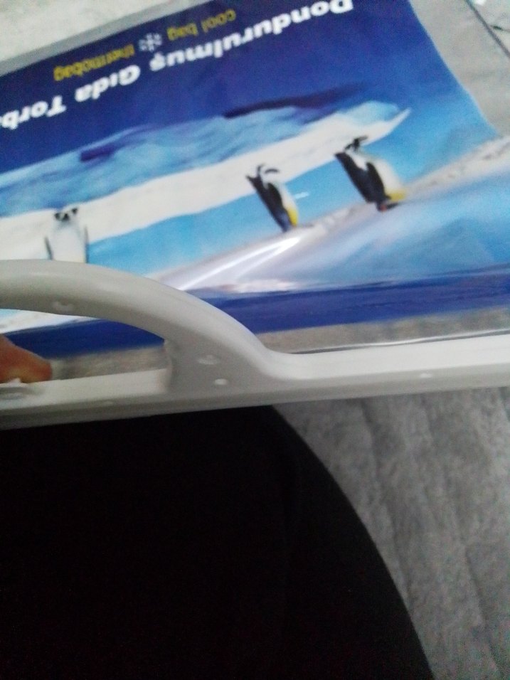 Koroplast Dondurulmuş Gıda Termo Çantası - Görsel 5