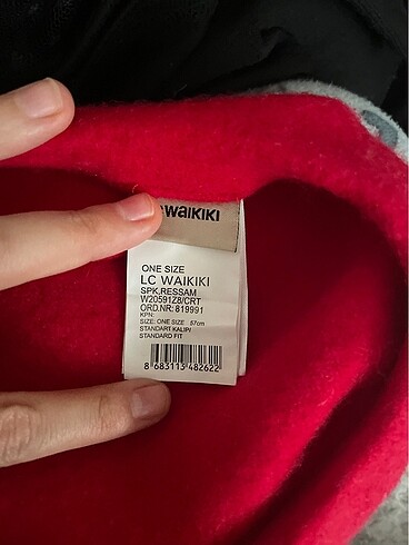 LC Waikiki LC waıkıkı ressam şapka