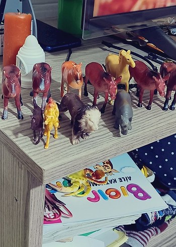 Çeşitli Hayvan Figürleri Seti - Görsel 10