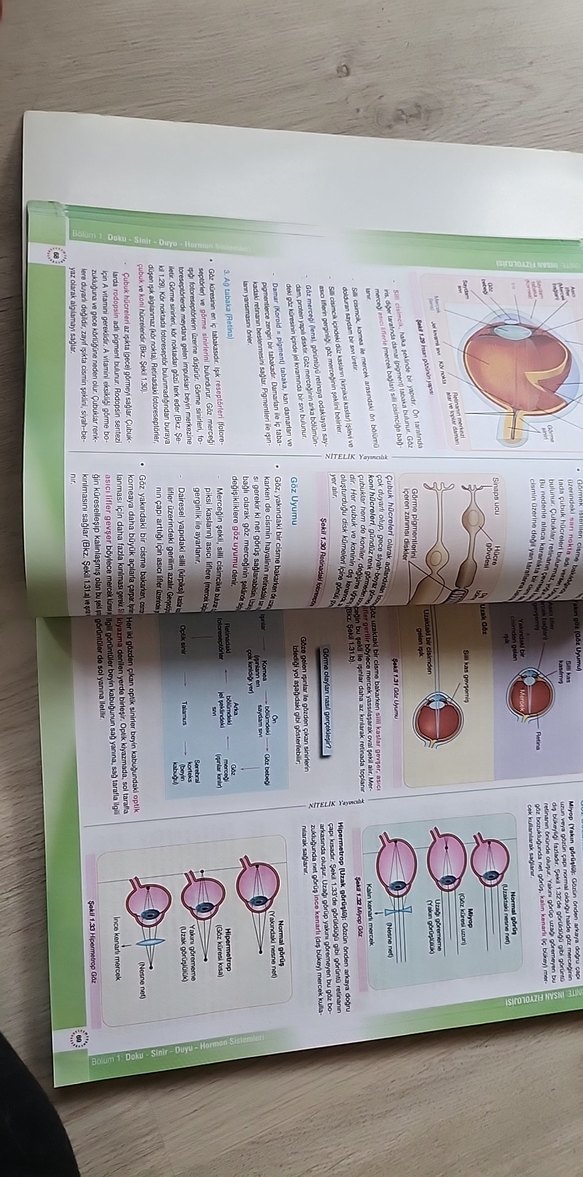 Biyoloji 11 Konu Anlatımlı Sınav Hazırlık Kitabı - Görsel 3