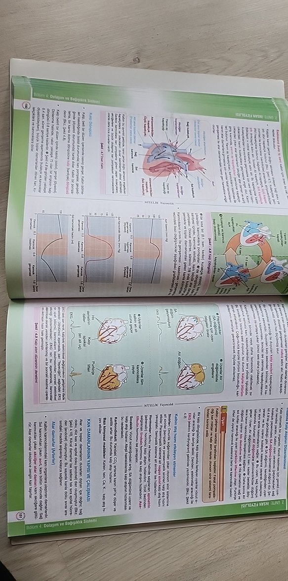Biyoloji 11 Konu Anlatımlı Sınav Hazırlık Kitabı - Görsel 5