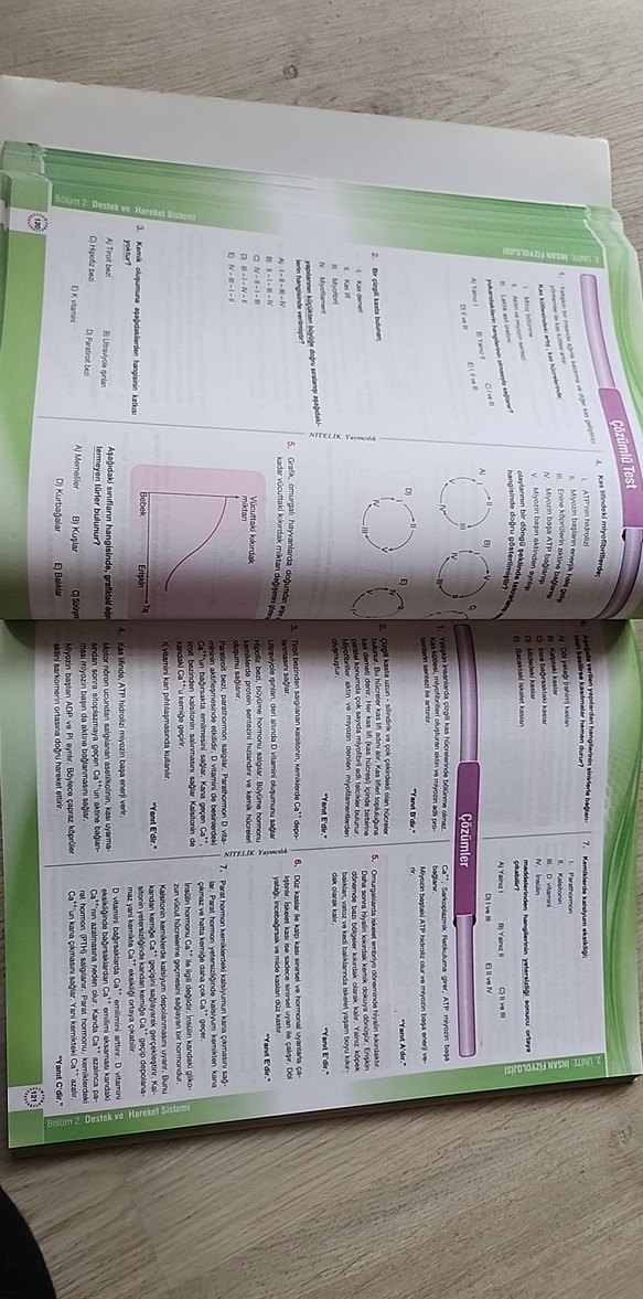 Biyoloji 11 Konu Anlatımlı Sınav Hazırlık Kitabı - Görsel 4