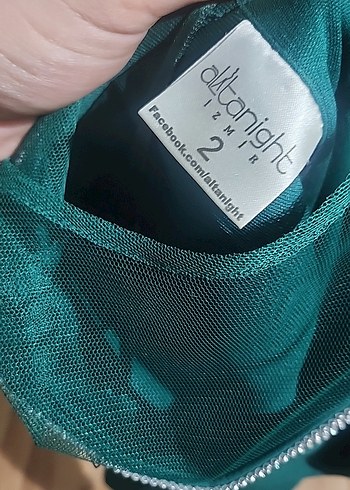 Yeşil V Yaka Uzun Klasik Elbise - Görsel 3