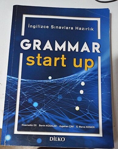 dilko grammar start up