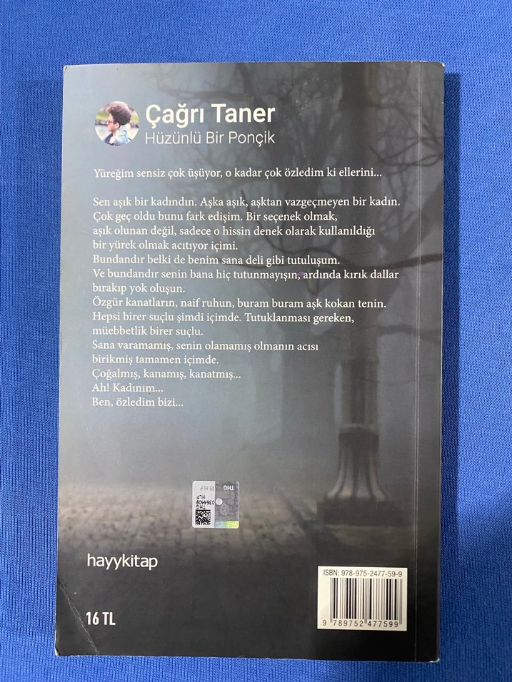 Hüzünlü Bir Ponçik - Çağrı Taner - Görsel 2