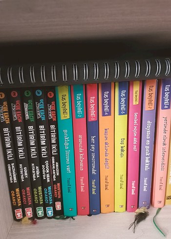 Türkçe TUŞ Beyinli Kitapları Seti