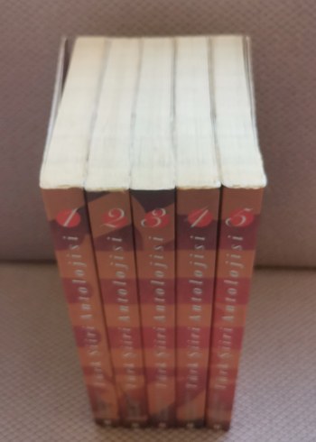 Cumhuriyetten Günümüze Türk Şiiri Antolojisi - Görsel 3