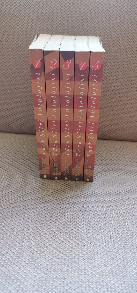 Cumhuriyetten Günümüze Türk Şiiri Antolojisi - Görsel 2